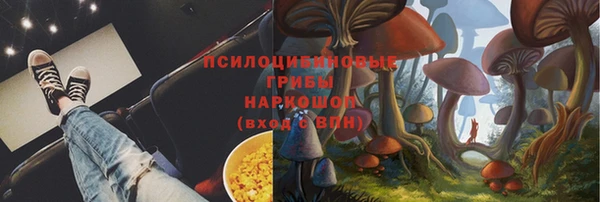сатива Алексеевка