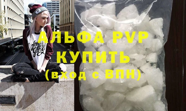 стафф Алзамай