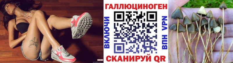ссылка на мегу ссылка  Москва  Псилоцибиновые грибы прущие грибы 