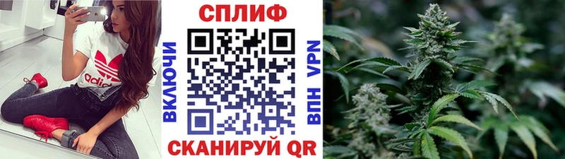 Канабис план  omg маркетплейс  Москва  где купить  